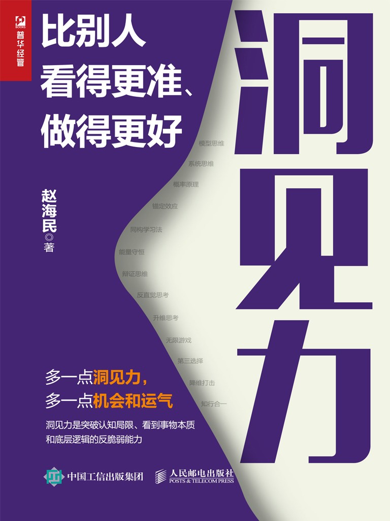 2024年新书榜单：🔥🔥如何练成一眼看透本质的能力！《洞见力：比别人看得更准、做得更好》